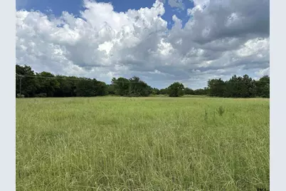 3697 An County Road 309 Tract 2 B North Tract, Frankston, TX 75763 - Photo 11