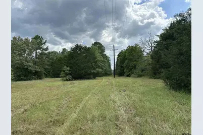3697 An County Road 309 Tract 2 A South Tract, Frankston, TX 75763 - Photo 13