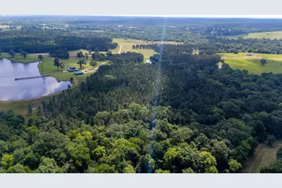1950 Buckhorn Creek Drive, Crockett, TX 75835 - Photo 29