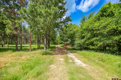 1950 Buckhorn Creek Drive, Crockett, TX 75835 - Photo 7