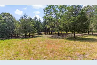 000 Vz County Road 4505, Ben Wheeler, TX 75754 - Photo 21