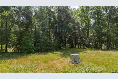 000 Vz County Road 4505, Ben Wheeler, TX 75754 - Photo 11