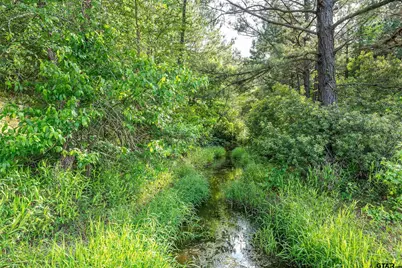 12581 Fm 2607, Arp, TX 75750 - Photo 29