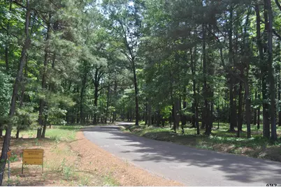 151 County Road 1521, Avinger, TX 75630 - Photo 47