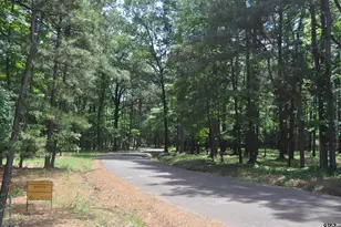 151 Co Rd 1521, Avinger, TX 75630 - Photo 47