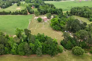 1129 Holly Rd, Gilmer, TX 75644 - Photo 33