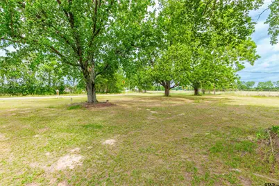 6225 Fm 1002 S, Big Sandy, TX 75755 - Photo 3