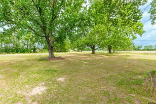 6225 Fm 1002 S, Big Sandy, TX 75755 - Photo 3