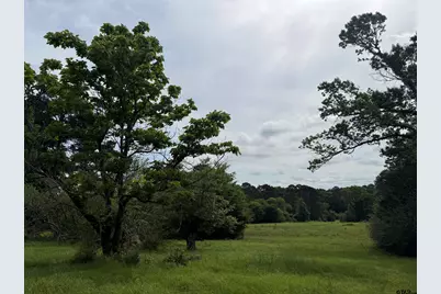 Tbd Cr 1404 -60.30 Acres, Jacksonville, TX 75766 - Photo 5