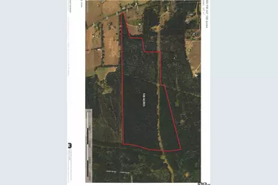 Tbd Fm 347 - 108 Acres, Jacksonville, TX 75766 - Photo 5