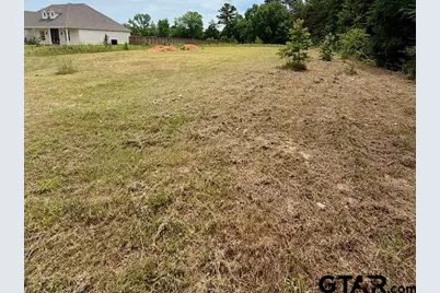 14973 Turtle Creek Ranch Road, Flint, TX 75762 - Photo 5