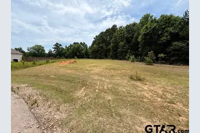 14973 Turtle Creek Ranch Road, Flint, TX 75762 - Photo 1