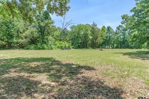 7611 FM314, Ben Wheeler, TX 75754 - Photo 29