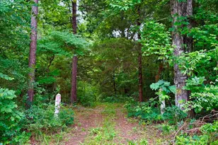 Tbd County Road 4504, Jacksonville, TX 75766 - Photo 1