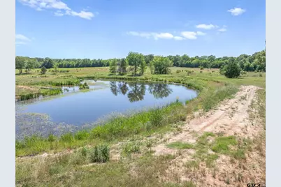Tbd Cr 4509, Ben Wheeler, TX 75754 - Photo 17