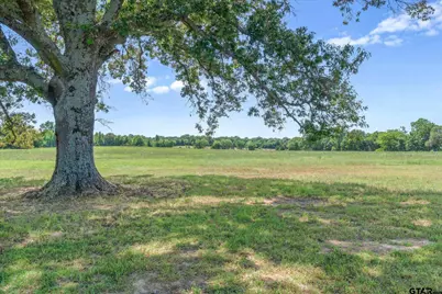 Tbd Cr 4509, Ben Wheeler, TX 75754 - Photo 23