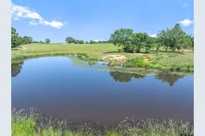 Tbd Cr 4509, Ben Wheeler, TX 75754 - Photo 9