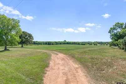Tbd Cr 4509, Ben Wheeler, TX 75754 - Photo 19