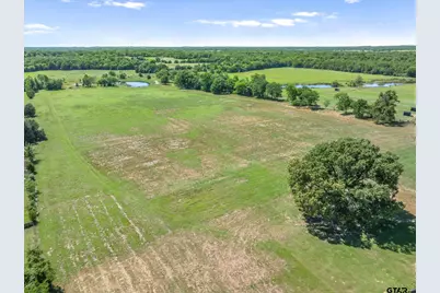 Tbd Cr 4509, Ben Wheeler, TX 75754 - Photo 3