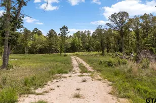 630 Co Rd 3953, Hawkins, TX 75765 - Photo 1