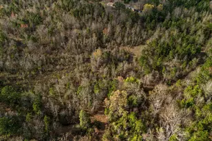 11554 Fm 1649, Ore City, TX 75683 - Photo 45