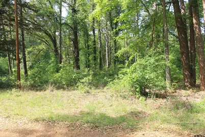 114 Cedar Ct, Bullard, TX 75757 - Photo 3