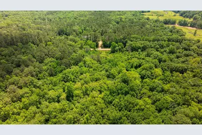 2189 Fm 19, Palestine, TX 75801 - Photo 11