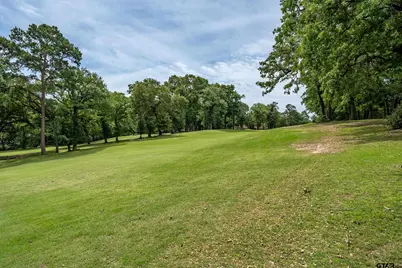 960 Greenbriar Trail, Holly Lake Ranch, TX 75765 - Photo 11
