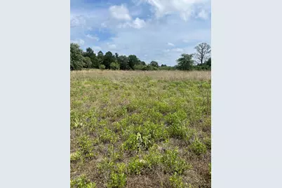 9491 Pleasant Ridge Rd, Frankston, TX 75763 - Photo 3