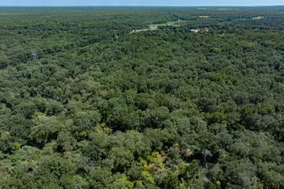 00 Hwy 69 / Cr 484, Mineola, TX 75773 - Photo 15