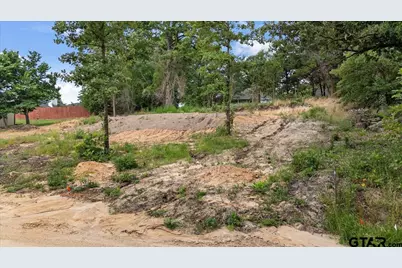 224 County Road 2267, Mineola, TX 75773 - Photo 3