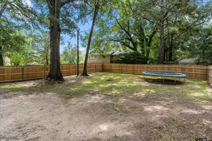 1101 Holly Hill Ln, Mt Pleasant, TX 75455 - Photo 3