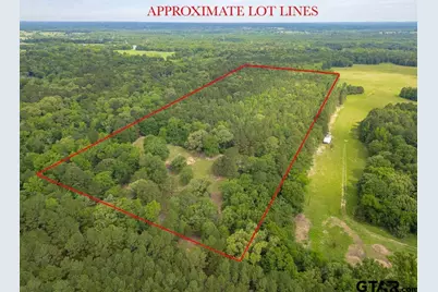 13130 County Road 4124, Lindale, TX 75771 - Photo 3