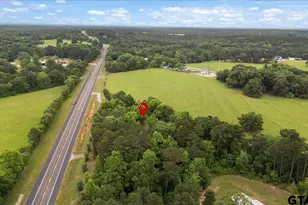 22596 Hwy 64 E, Arp, TX 75750 - Photo 11