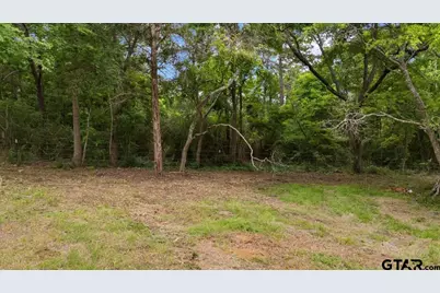 22596 Hwy 64 E, Arp, TX 75750 - Photo 7