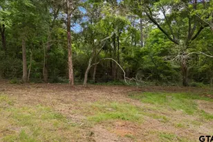 22596 Hwy 64 E, Arp, TX 75750 - Photo 7