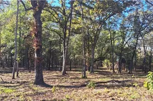 Tbd Cr 4147, Lindale, TX 75771 - Photo 1
