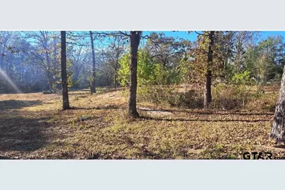 Tbd Cr 4147, Lindale, TX 75771 - Photo 3