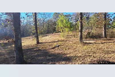 20528 Cr 4147, Lindale, TX 75771 - Photo 5