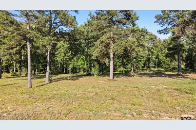 3132 Shadow Pine Dr, LaRue, TX 75770 - Photo 5