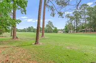 442 Greenbriar Trail, Holly Lake Ranch, TX 75765 - Photo 37