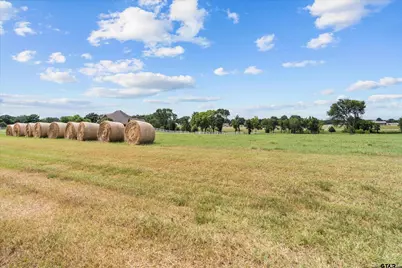 23050 Bridle View Drive, Lindale, TX 75771 - Photo 3
