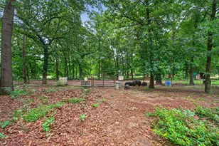 16884 County Rd 3147, Tyler, TX 75706 - Photo 17