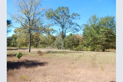 Tbd 3.5 Acres Hwy 155, Gilmer, TX 75644 - Photo 1