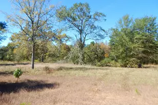 Tbd 3 5 Acres Hwy 155, Gilmer, TX 75644 - Photo 1
