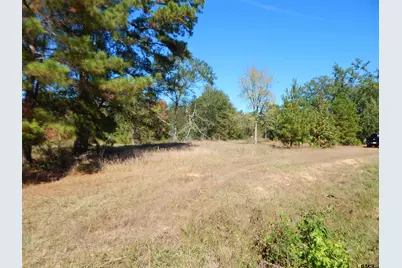 Tbd 3.5 Acres Hwy 155, Gilmer, TX 75644 - Photo 9