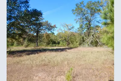 Tbd 3.5 Acres Hwy 155, Gilmer, TX 75644 - Photo 5