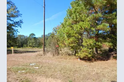 Tbd 3.5 Acres Hwy 155, Gilmer, TX 75644 - Photo 7