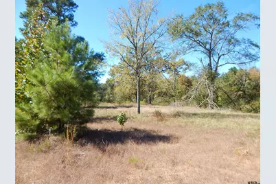 Tbd 3.5 Acres Hwy 155, Gilmer, TX 75644 - Photo 3