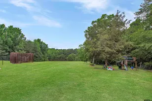 6233 Curtis Black Rd, Hallsville, TX 75650 - Photo 37